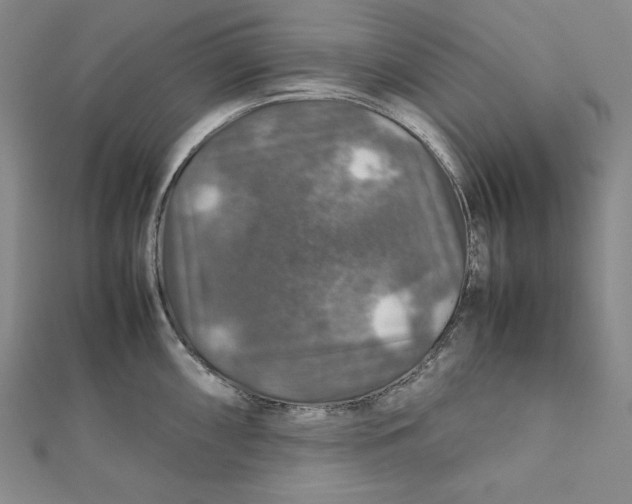 X0000112011098200908311129