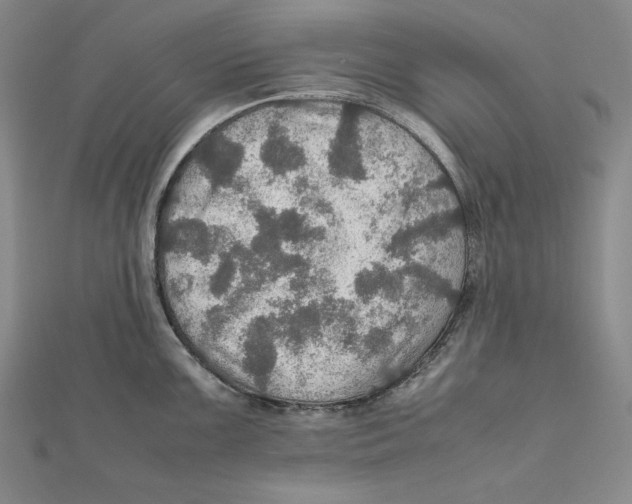X0000112011099200908311129