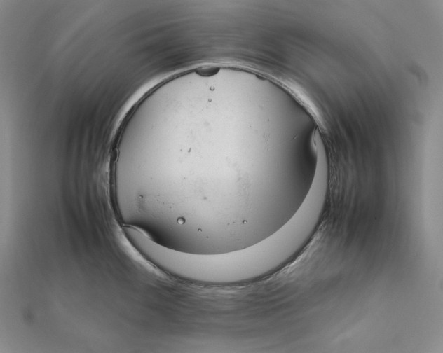 X0000112011100200908311129