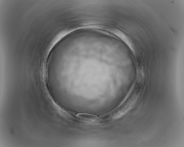 X0000112011101200908311129