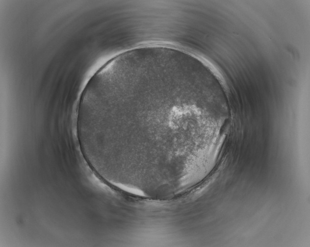 X0000112011102200908311129