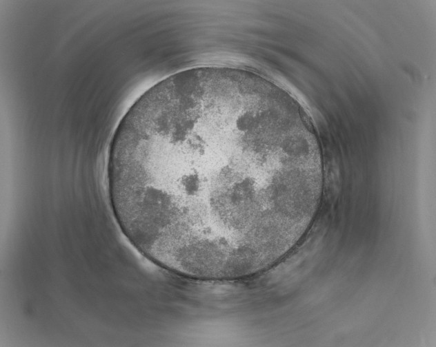 X0000112011103200908311129
