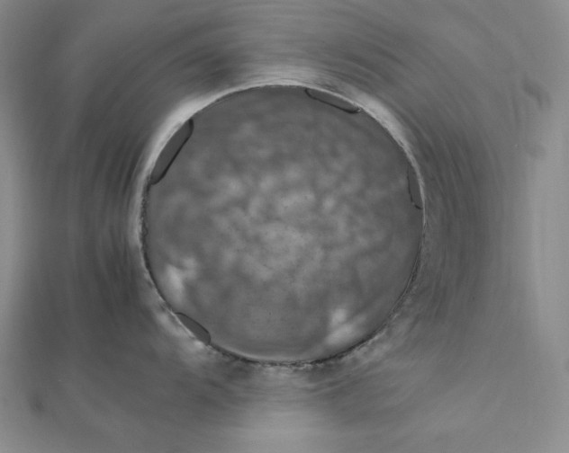 X0000112011104200908311129
