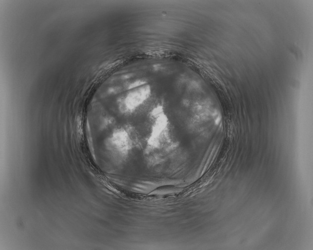 X0000112011106200908311129