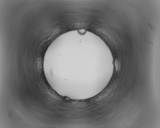 X0000112011107200908311129