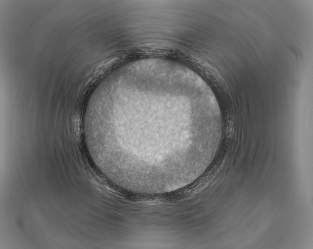 X0000112011108200908311129
