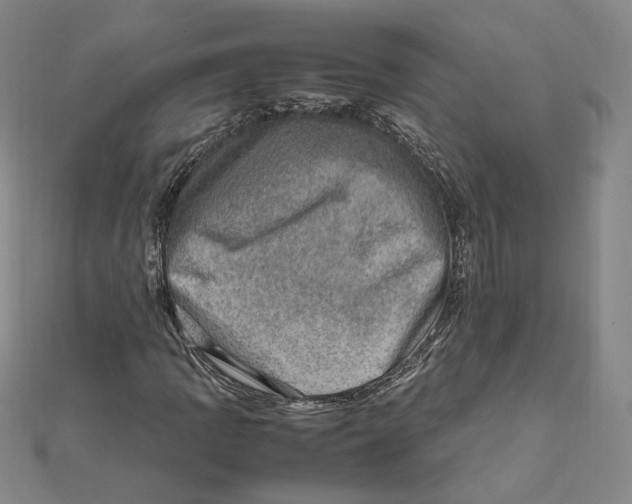 X0000112011109200908311129