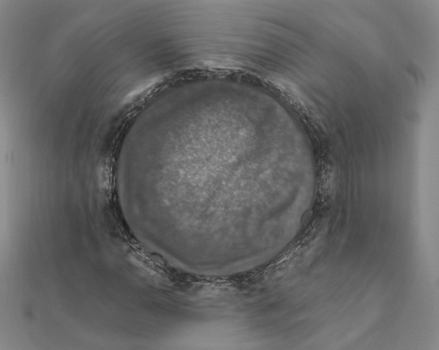 X0000112011110200908311129