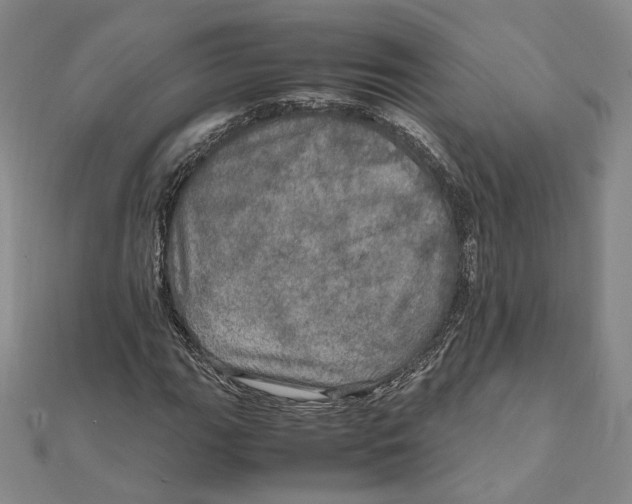 X0000112011111200908311129