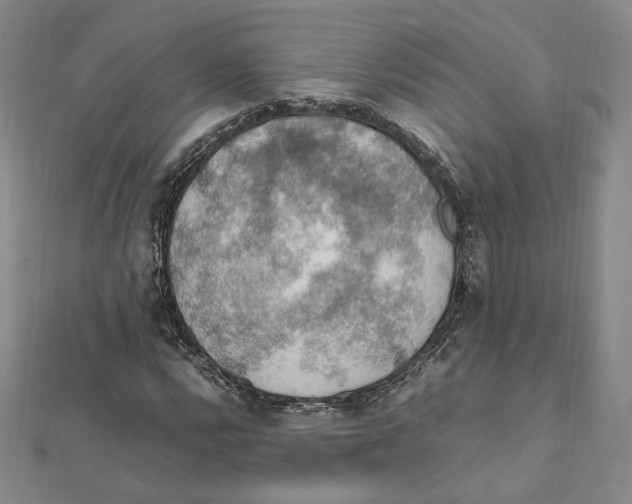 X0000112011112200908311129