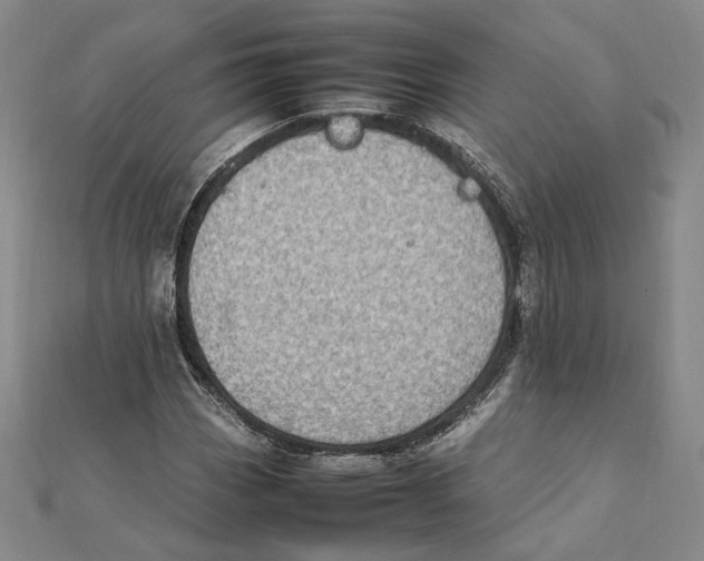 X0000112011113200908311129