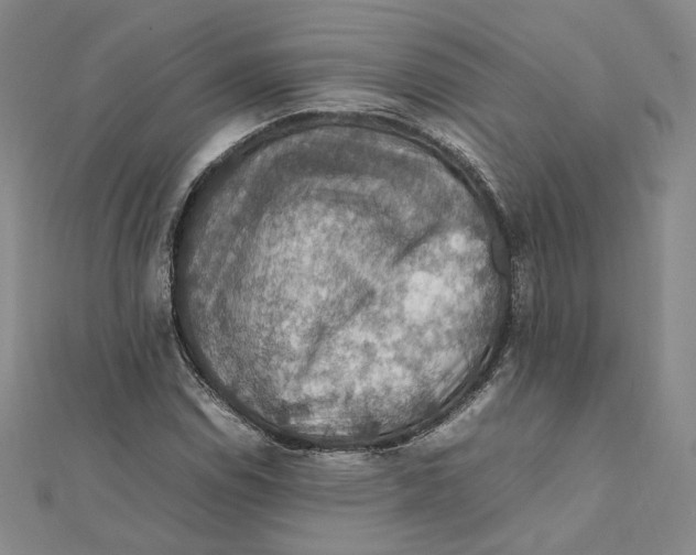 X0000112011114200908311129