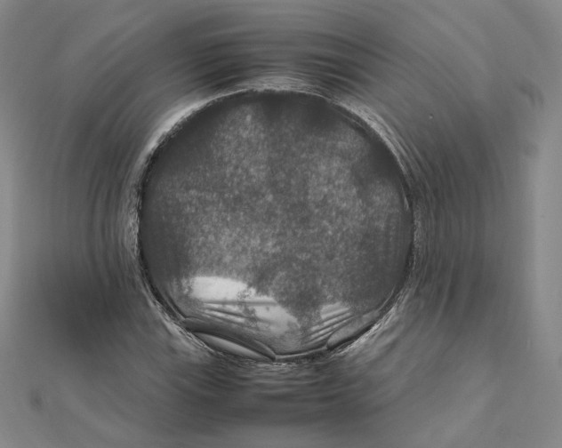 X0000112011115200908311129