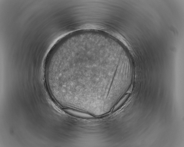 X0000112011116200908311129