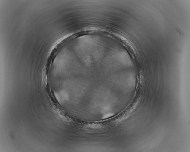 X0000112011117200908311129