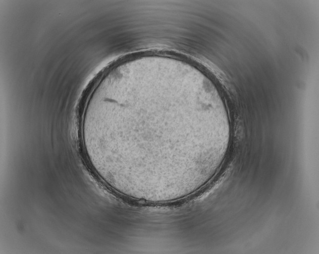 X0000112011118200908311129