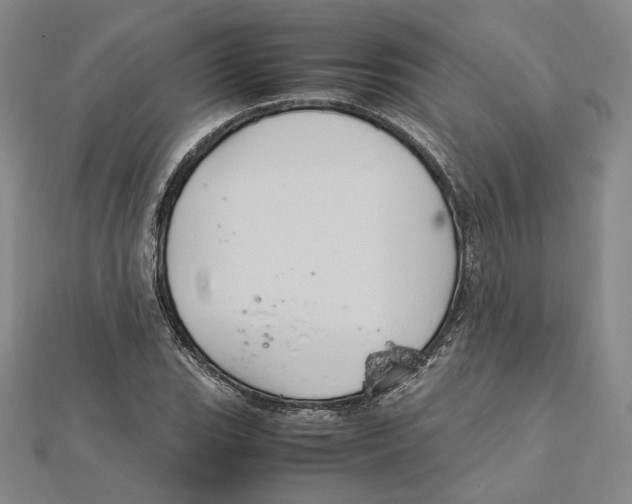 X0000112011119200908311129
