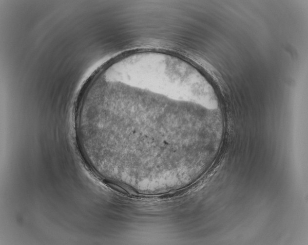 X0000112011120200908311129