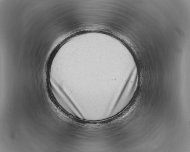 X0000112011122200908311129