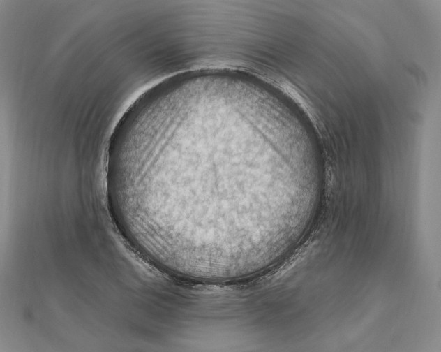X0000112011124200908311129