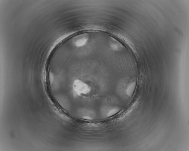 X0000112011125200908311129