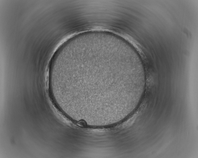 X0000112011126200908311129