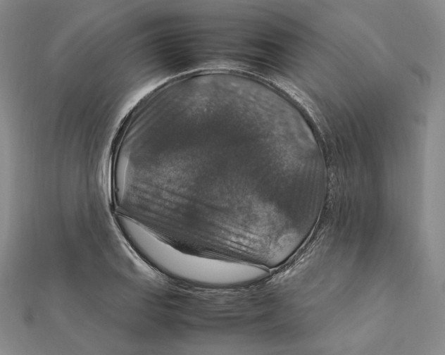 X0000112011127200908311129
