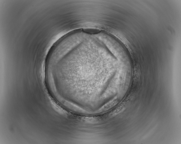 X0000112011128200908311129