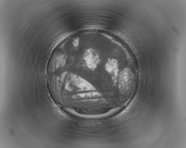 X0000112011129200908311129
