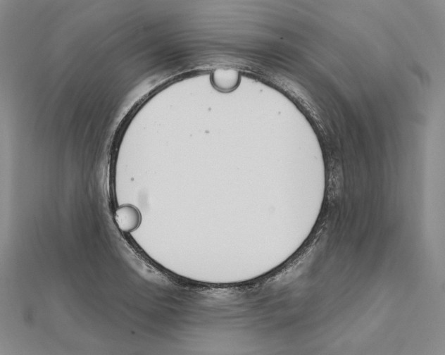 X0000112011130200908311129