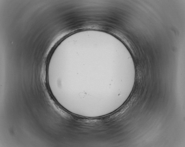 X0000112011131200908311129