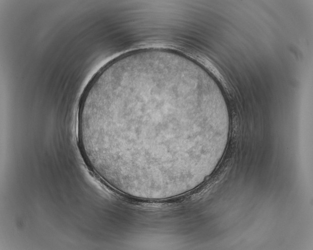 X0000112011132200908311129