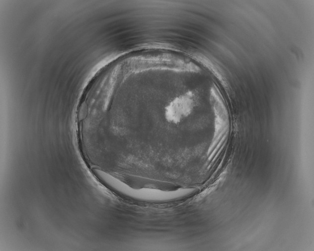 X0000112011133200908311129