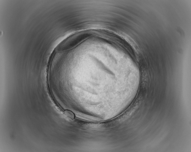 X0000112011134200908311129