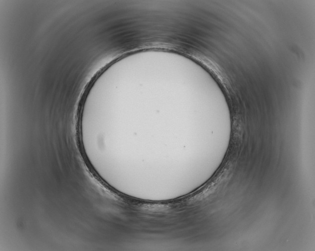 X0000112011135200908311129
