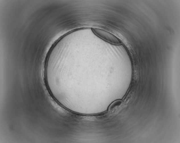 X0000112011136200908311129