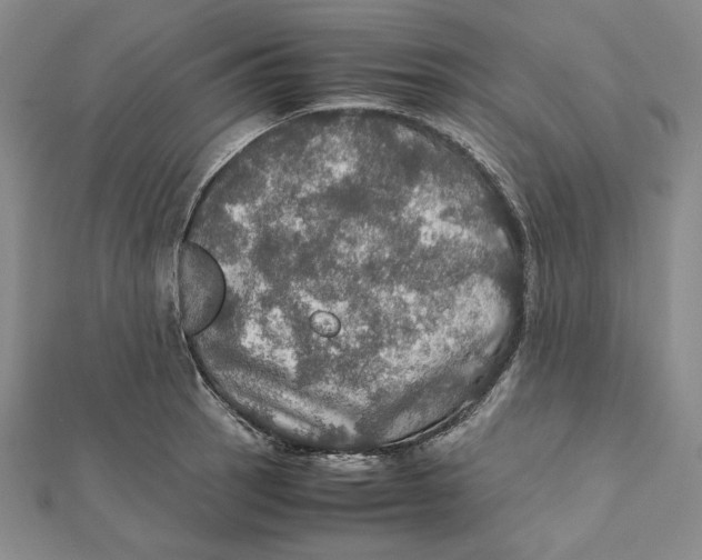 X0000112011137200908311129
