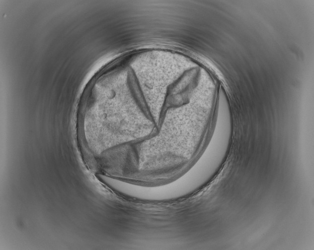 X0000112011138200908311129