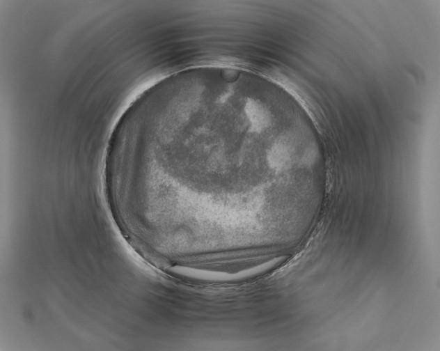 X0000112011139200908311129