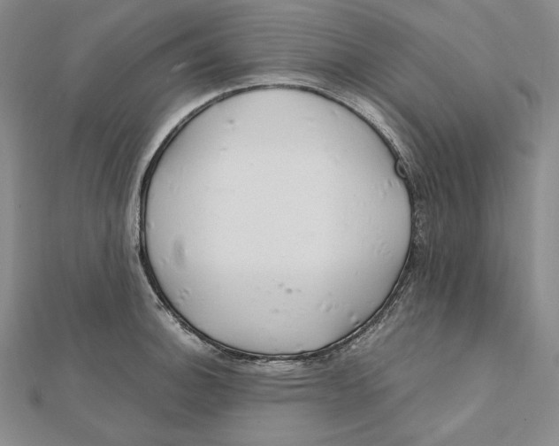 X0000112011140200908311129
