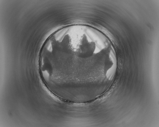 X0000112011142200908311129