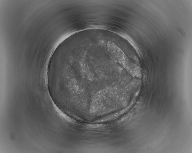 X0000112011143200908311129