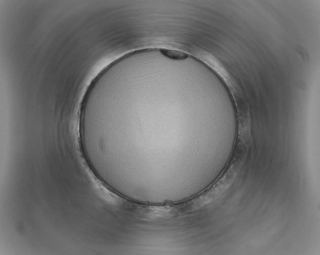 X0000112011144200908311129