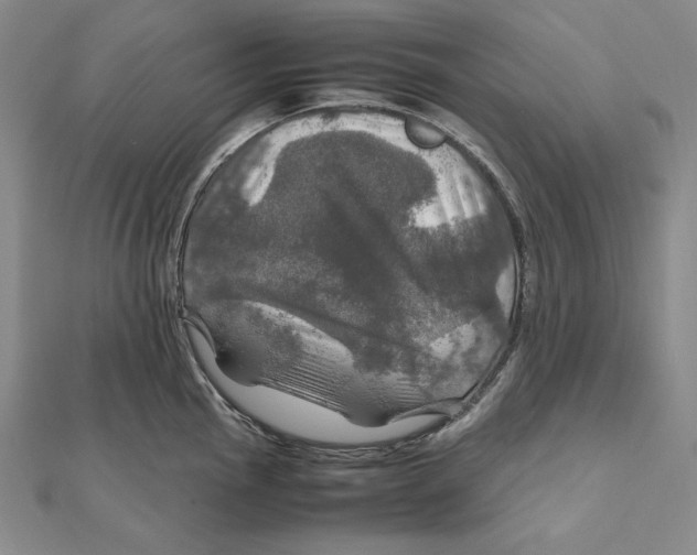 X0000112011145200908311129