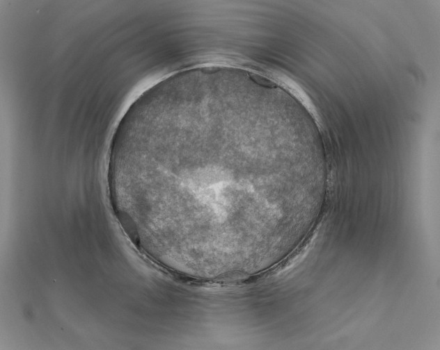 X0000112011146200908311129