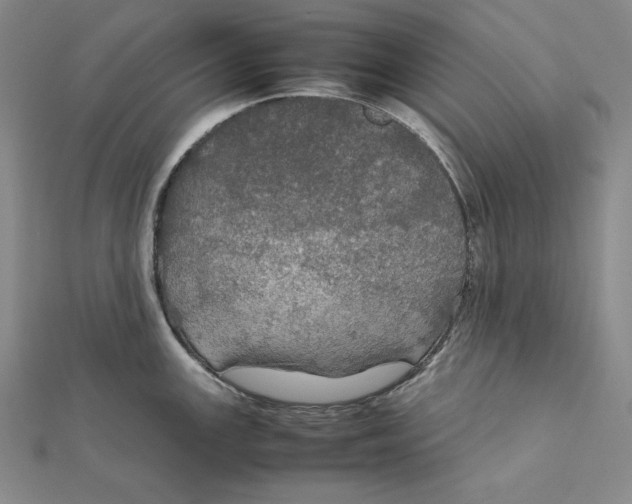X0000112011147200908311129