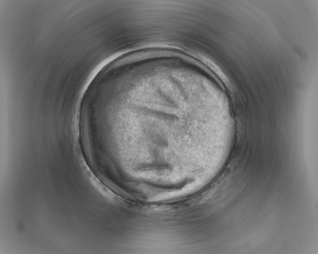 X0000112011148200908311129
