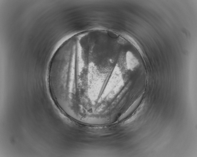 X0000112011149200908311129