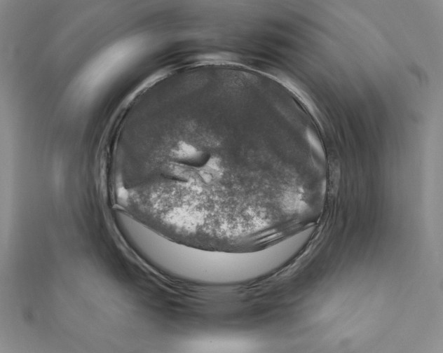 X0000112011151200908311129