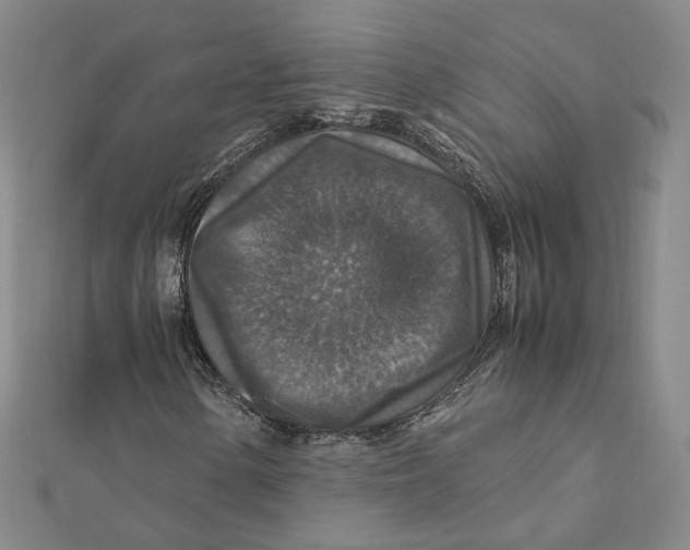 X0000112011154200908311128